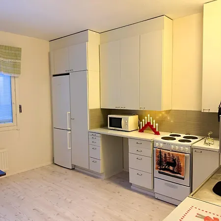 Aurora * 罗瓦涅米